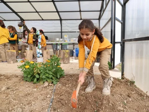 Sera Eğitimi (2.Sınıf)