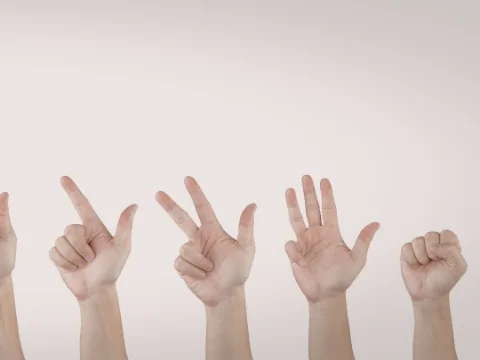 İşaret Dili Kursu (4, 5, 6, 7 ve 8.Sınıf)