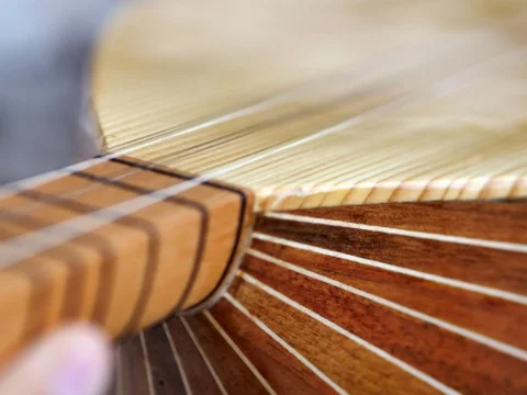 Bağlama Kursu (4, 5, 6, 7 ve 8.Sınıf)