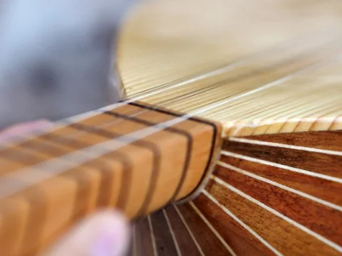 Bağlama Kursu (9, 10, 11 ve 12. Sınıf)