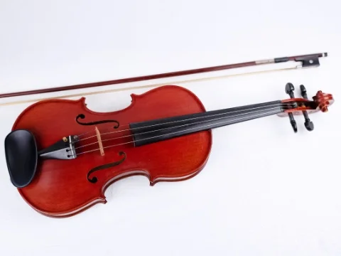 Keman Kursu (4, 5, 6, 7 ve 8.Sınıf)